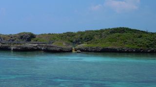 大人には、残念な感じ。