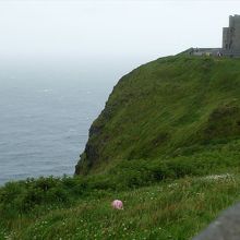 オブライエン塔と、飛ばされた誰かの帽子。