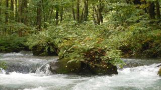 森林と川の絶景が素敵な渓流！