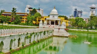 池に浮かぶラーニポカリ