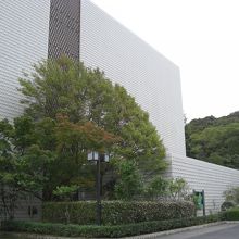 駐車場から見た建物の裏側