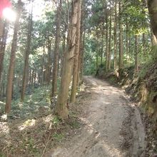 登山道