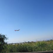 昔の呼び方のガレオンの方がブラジル全土で遥かに通じる