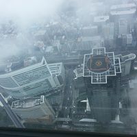 横浜ランドマークタワーから撮った外見です