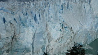 氷河を間近で見られます