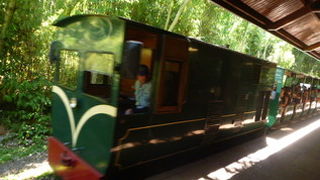 可愛い緑のトロッコ列車