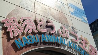 自然と動物とふれあえる