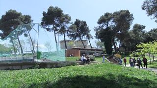 小高い丘の上です