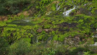 緑のパッチワーク