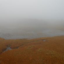 ガスっているけれど幻想的で綺麗でした