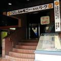 名前の通り、まさしく新潟駅前の有るので便利です。