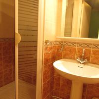 シャワーと洗面台。