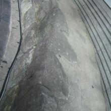 江戸時代の石垣は、ベンチに活用されています。畏れ多いことです