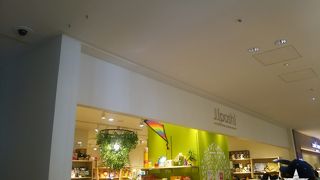 変わった雑貨もあります