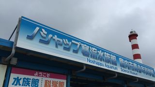最北の水族館