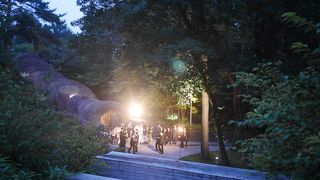 入れませんでした・・・