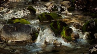 　魅力あふれる　貴重な自然