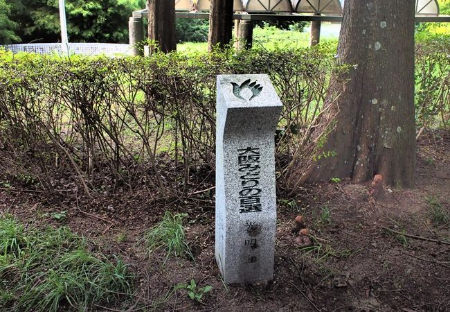 家族で楽しめます。