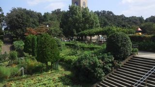 横浜の方まで見渡せます