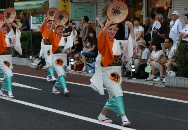 山形花笠まつり クチコミ アクセス 営業時間 山形市 フォートラベル 山形花笠まつり クチコミ アクセス 営業時間 山形市 フォートラベル