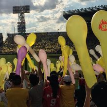 甲子園の風物詩