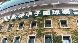 久しぶりの甲子園 ♪