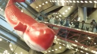 ジョイポリスがあります