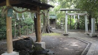 柿田川公園内の小さな神社
