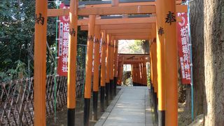 赤鳥居が目立ちます。