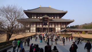 大仏の大きさを改めて再確認
