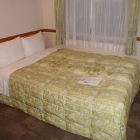 禁煙シングルをお願いしましたが禁煙ダブルの部屋でした。