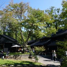 ハルニレテラス