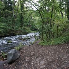 川沿いの遊歩道