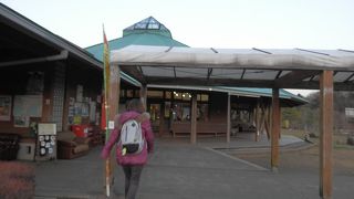 めずらしい卵が売っています