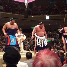 横綱白鵬　土俵入り　ANAのまわし