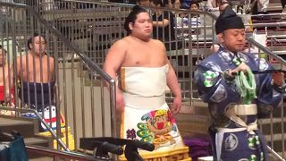 大相撲東京場所