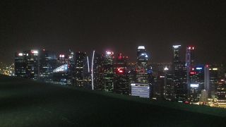 サンズ スカイパーク (空中庭園)