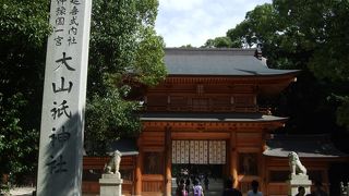 大木の間を通り抜けできるパワースポットがあります