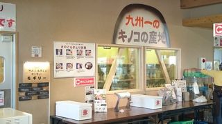 きのこ摘み取り体験