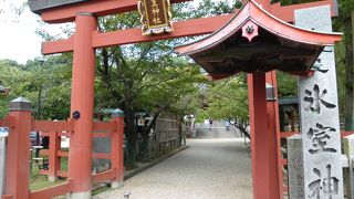 こんなところに神社が！