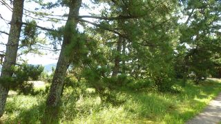 サイクリングしました