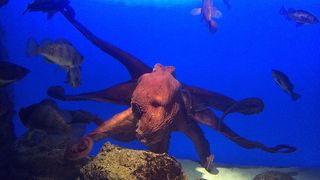 久しぶりに訪問。変わってました！