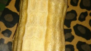 やっぱり美味しい