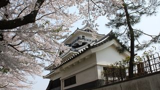 桜の時期は最高です！