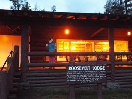 ルーズベルト ロッジ & キャビンズ - インサイド ザ パーク 写真