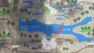 石川県森林公園