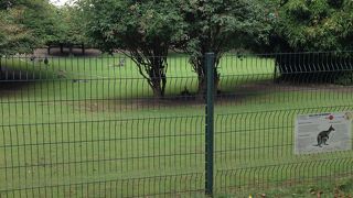 パリ植物園付属動物園