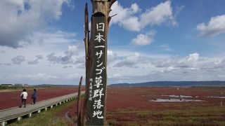 先の方はまだ隙間も多い