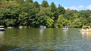 大人も子どもも楽しめます