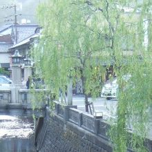 城崎の柳はなまめかしい感があります。